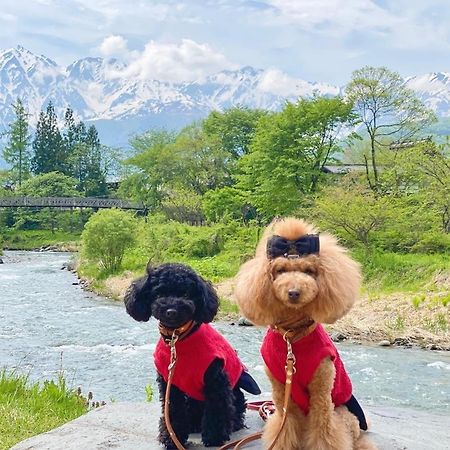 白馬パウダーマウンテン Otel Hakuba Dış mekan fotoğraf