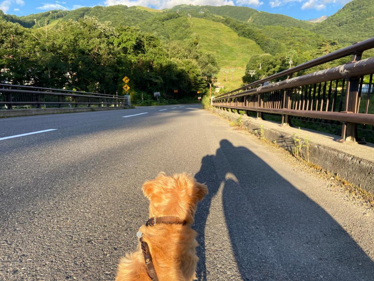 白馬パウダーマウンテン Otel Hakuba Dış mekan fotoğraf