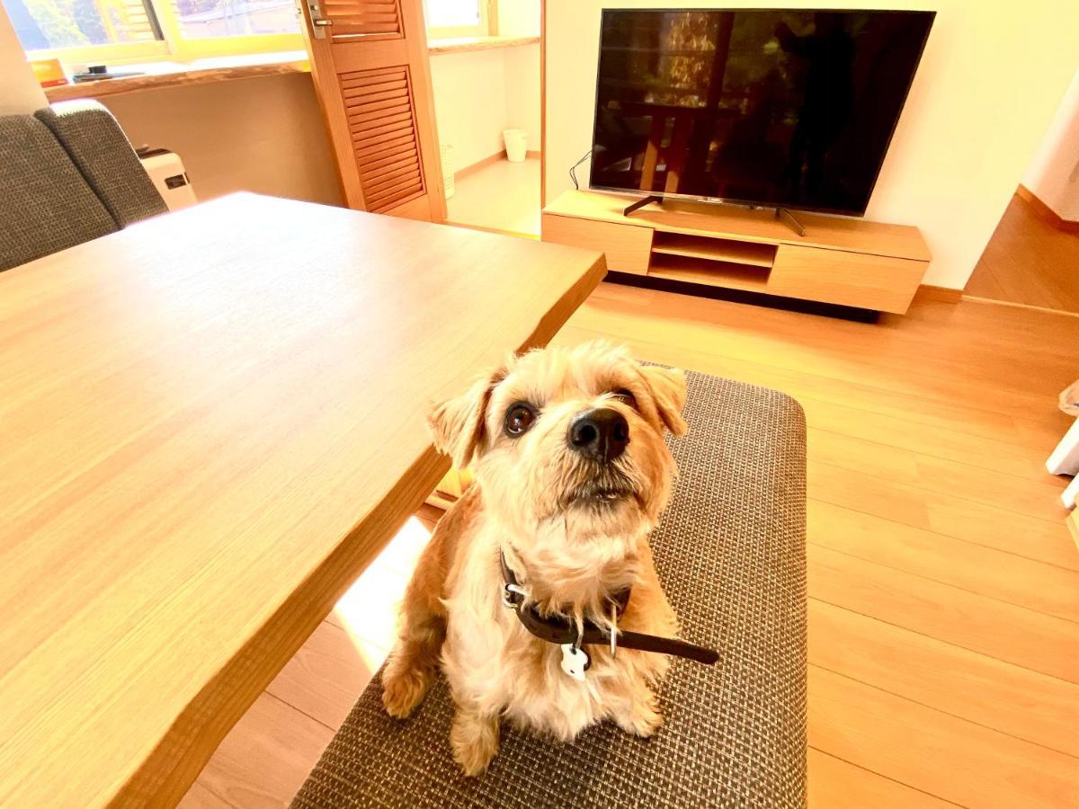 白馬パウダーマウンテン Otel Hakuba Dış mekan fotoğraf