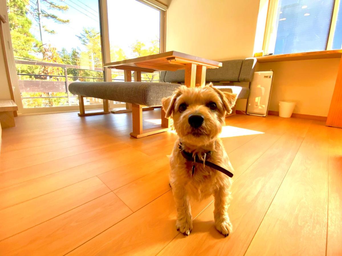 白馬パウダーマウンテン Otel Hakuba Dış mekan fotoğraf