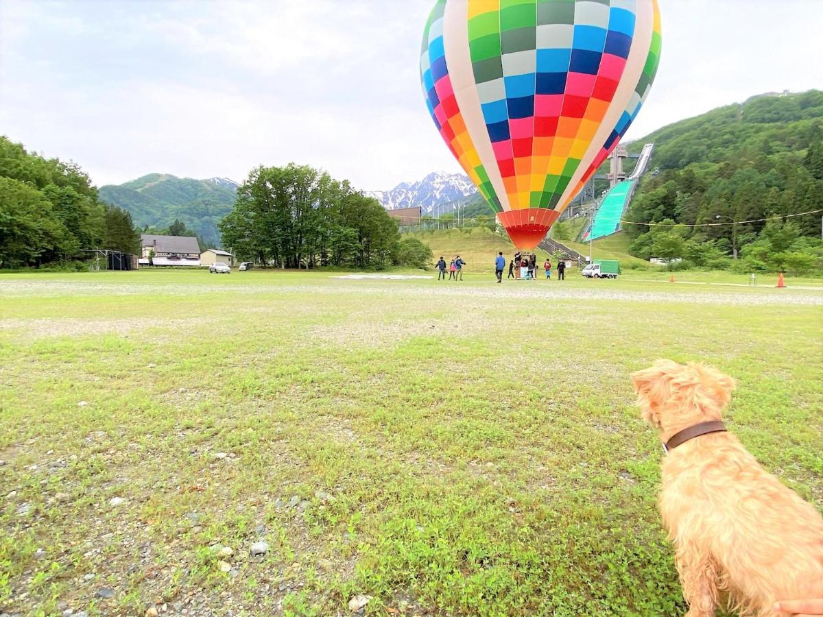 白馬パウダーマウンテン Otel Hakuba Dış mekan fotoğraf