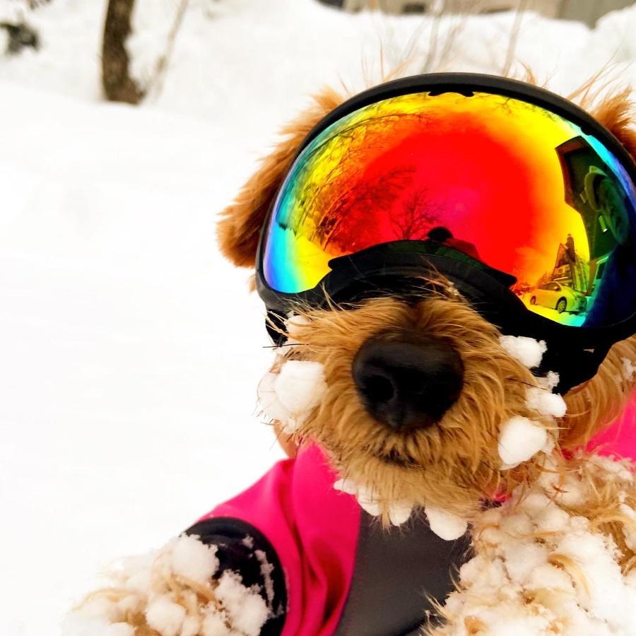 白馬パウダーマウンテン Otel Hakuba Dış mekan fotoğraf