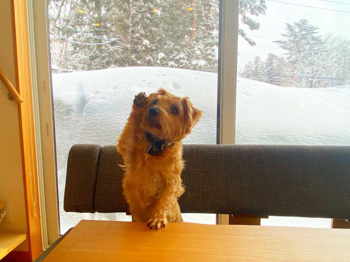 白馬パウダーマウンテン Otel Hakuba Dış mekan fotoğraf