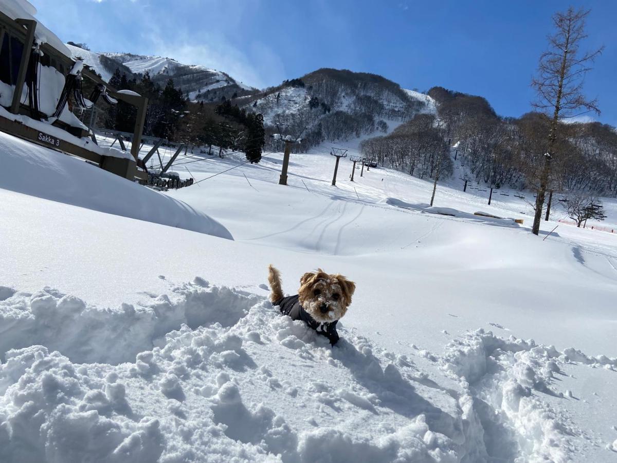 白馬パウダーマウンテン Otel Hakuba Dış mekan fotoğraf