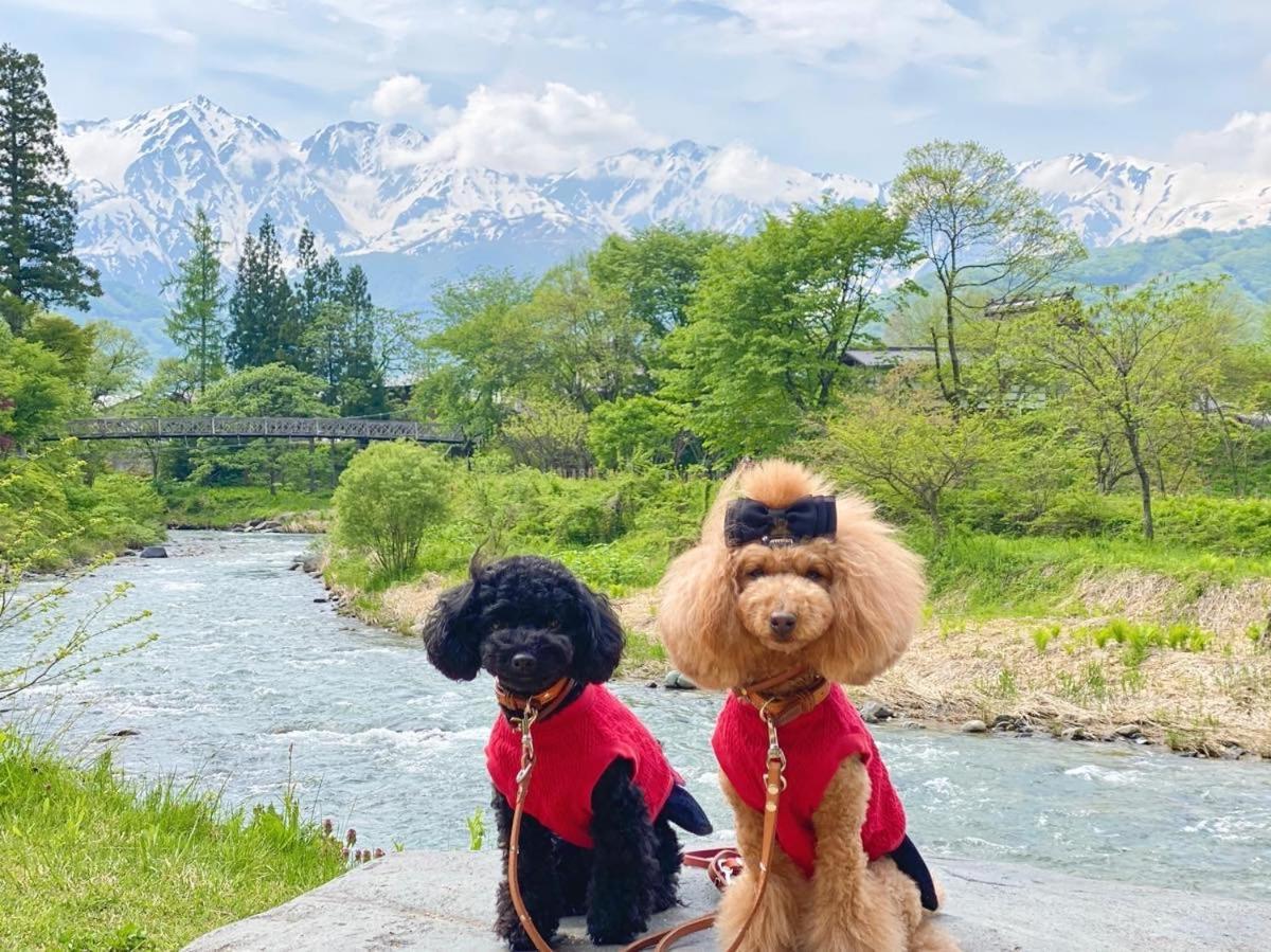 白馬パウダーマウンテン Otel Hakuba Dış mekan fotoğraf